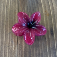  عکس2 کلیپس پلومریا 6 سانت